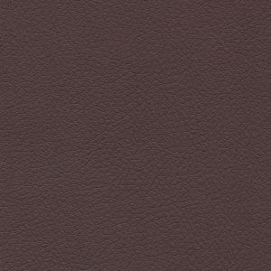 Brisa Cabernet