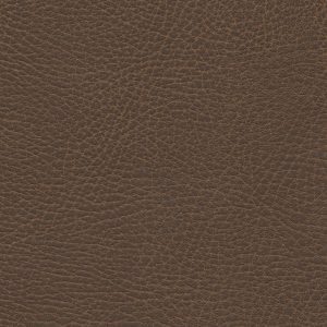 Brisa Distressed Bridle