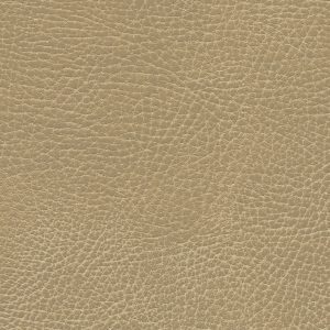 Brisa Distressed Buckskin