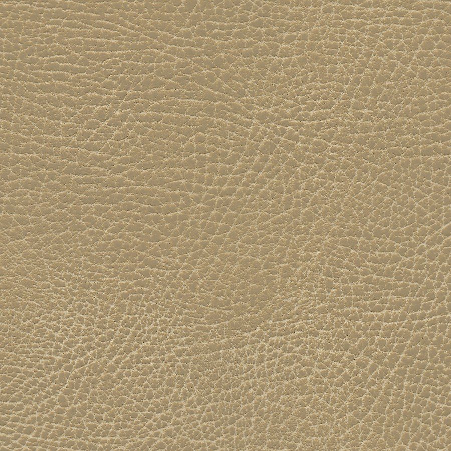 Brisa Distressed Buckskin