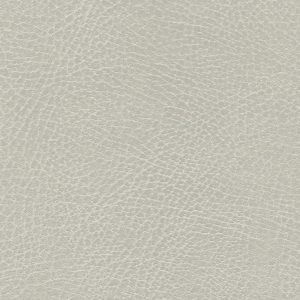 Brisa Distressed Coyote