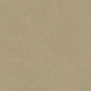 Brisa Distressed Desert Tan