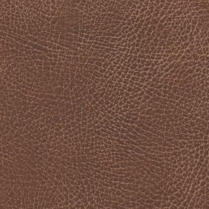 Brisa Distressed Lasso