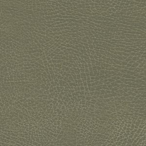 Brisa Distressed Prairie