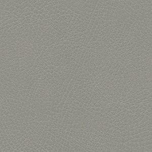 Brisa Distressed Shield