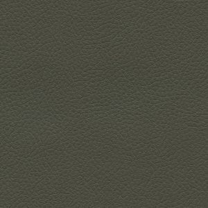 Brisa Olive