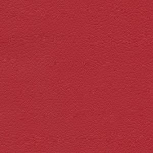 Brisa Rose Red