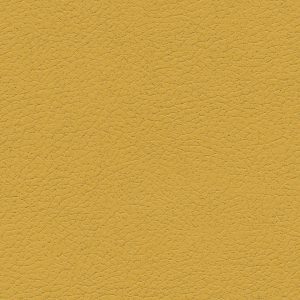 Brisa Yukon Gold