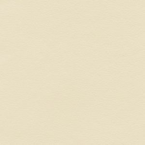 Coast Beacon, faux leather, Ultrafabrics