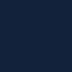 Coast  Naval Blue