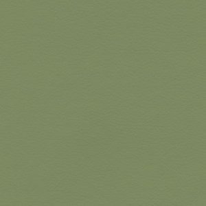 Coast  Stem Green