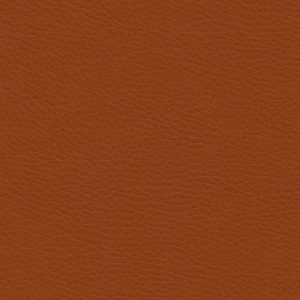 Montage Firebrick