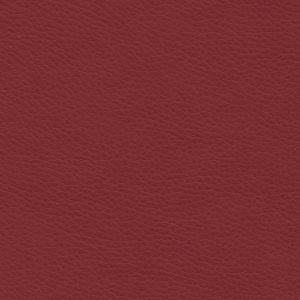 Montage Poinsettia Red