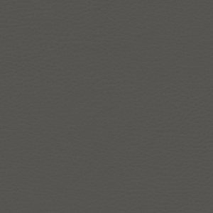 Montage Smoke Gray