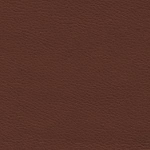 Montage Tobacco Brown