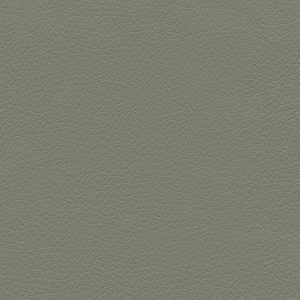 Pumice  Dusty Olive