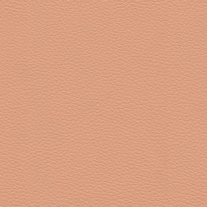 Pumice  Summer Melon