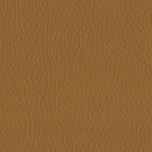 Tottori Burnt Ochre