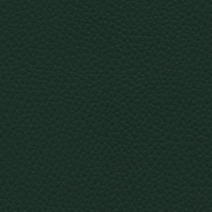 Tottori Dark Spruce
