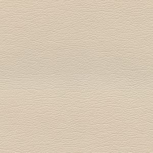 Ultraleather Champagne
