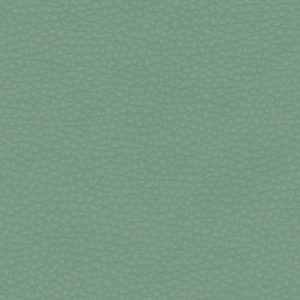 Volar Bio Matcha