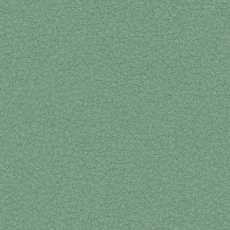 Volar Bio Matcha
