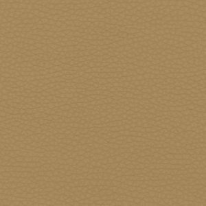 Volar Bio Onion Skin