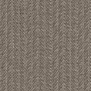 Banyan Chevron CV Kasha