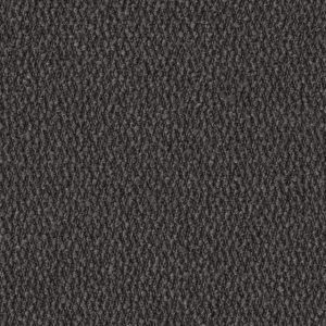 Secco Charcoal