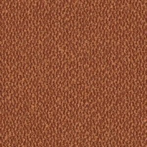 Secco Cinnamon