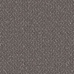 Secco Fossil