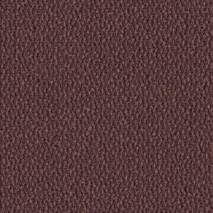 Secco Plum