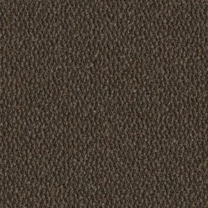 Secco Umber