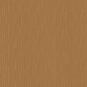 Silica Etch Camel