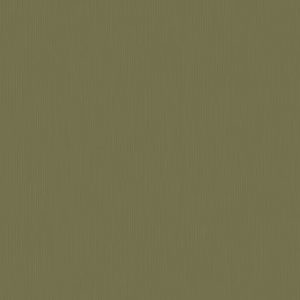 Silica Etch Palm