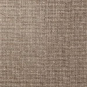 Winton Glasis - Wall Vinyl