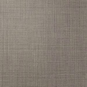 Winton Silverdale - Wall Vinyl