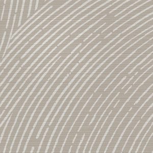 Awaken  Lil' Foggy - Wall Vinyl