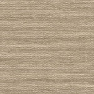 Dune Camel - Wall Vinyl
