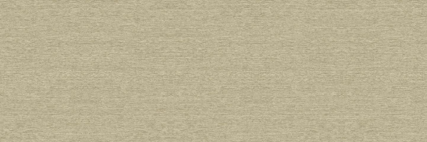 Dune Sage - Wall Vinyl - Image 3
