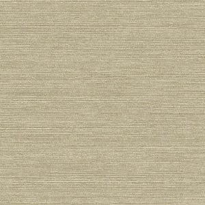 Dune Sage - Wall Vinyl