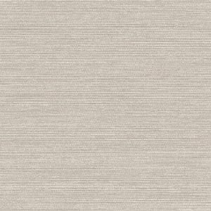 Dune Seashell - Wall Vinyl