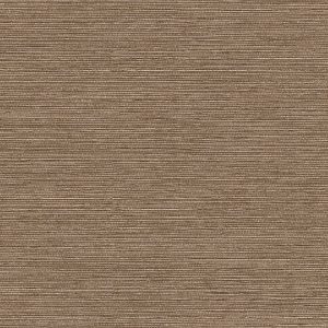 Dune Sepia - Wall Vinyl
