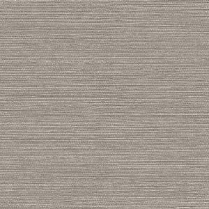 Dune Stone - Wall Vinyl