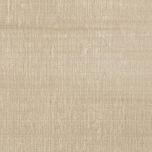 Emerge Warm Reveal - Wall Vinyl