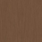 Forest Acacia