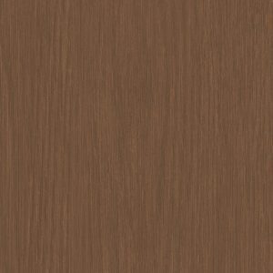 Forest Acacia