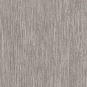 Forest Aspen Grey - Wall Vinyl