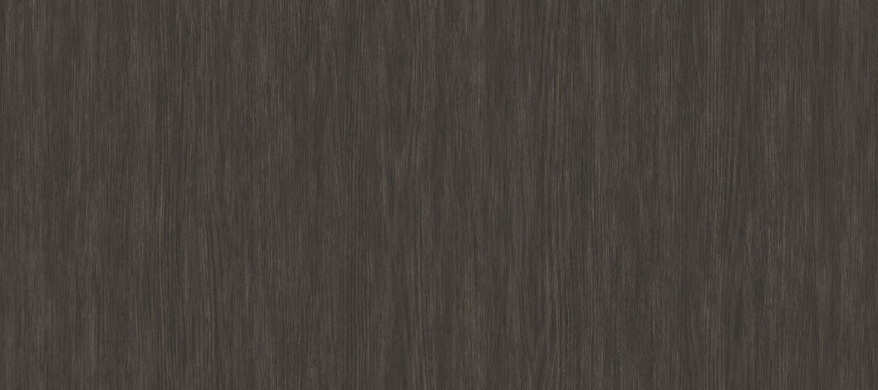 Forest Black Forest - Wall Vinyl - Image 3