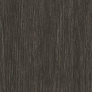 Forest Black Forest - Wall Vinyl